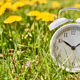 White alarm clock in grass, symbolizing time management challenges with ADHD.